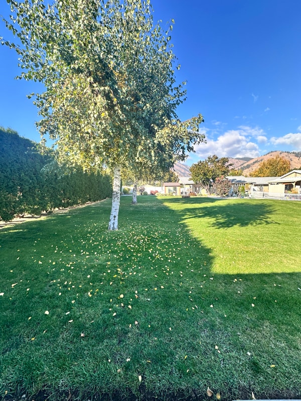 Photo - 5634 Locust Ln