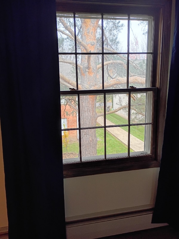 Photo - 806 Old Settlers Trail Unidad 8