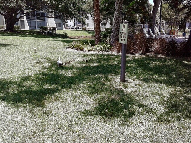 Building Photo - 9420 Poinciana Pl Unit 409