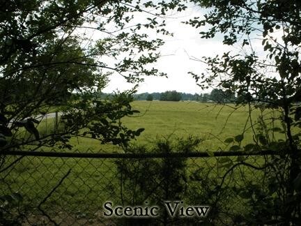 Photo - 126 Bybee Woods Dr Unidad 1