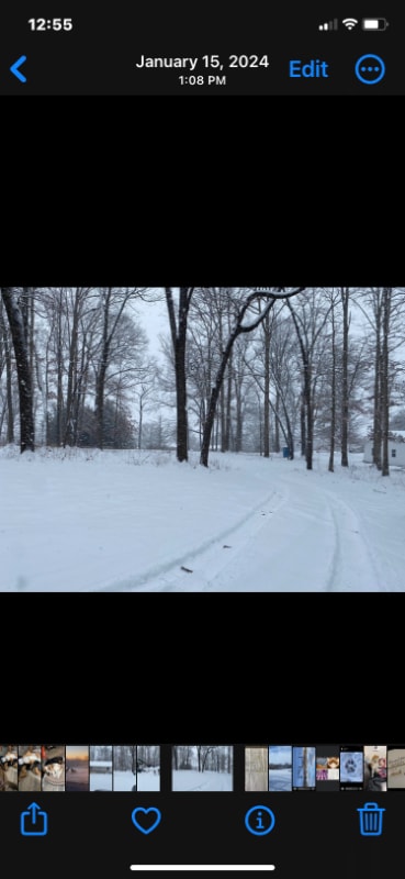 Photo - 3503 Holly Ave