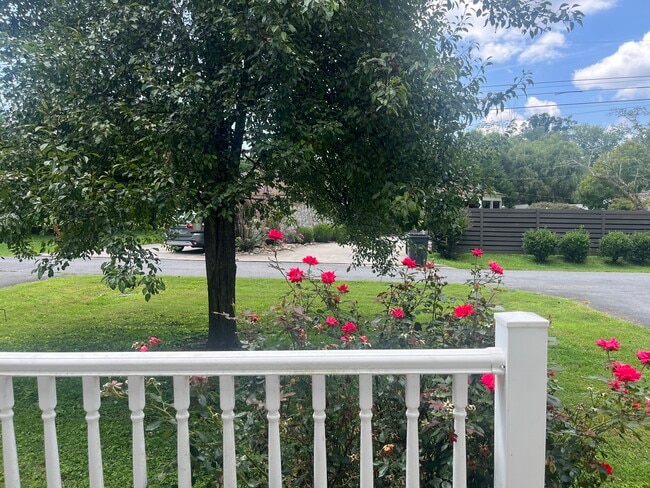 290 Shenandoah Dr Unit 2
