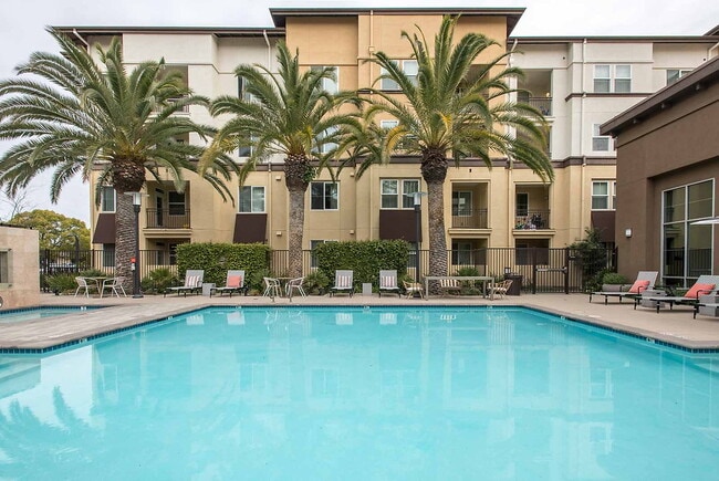 Building Photo - Paragon Rental