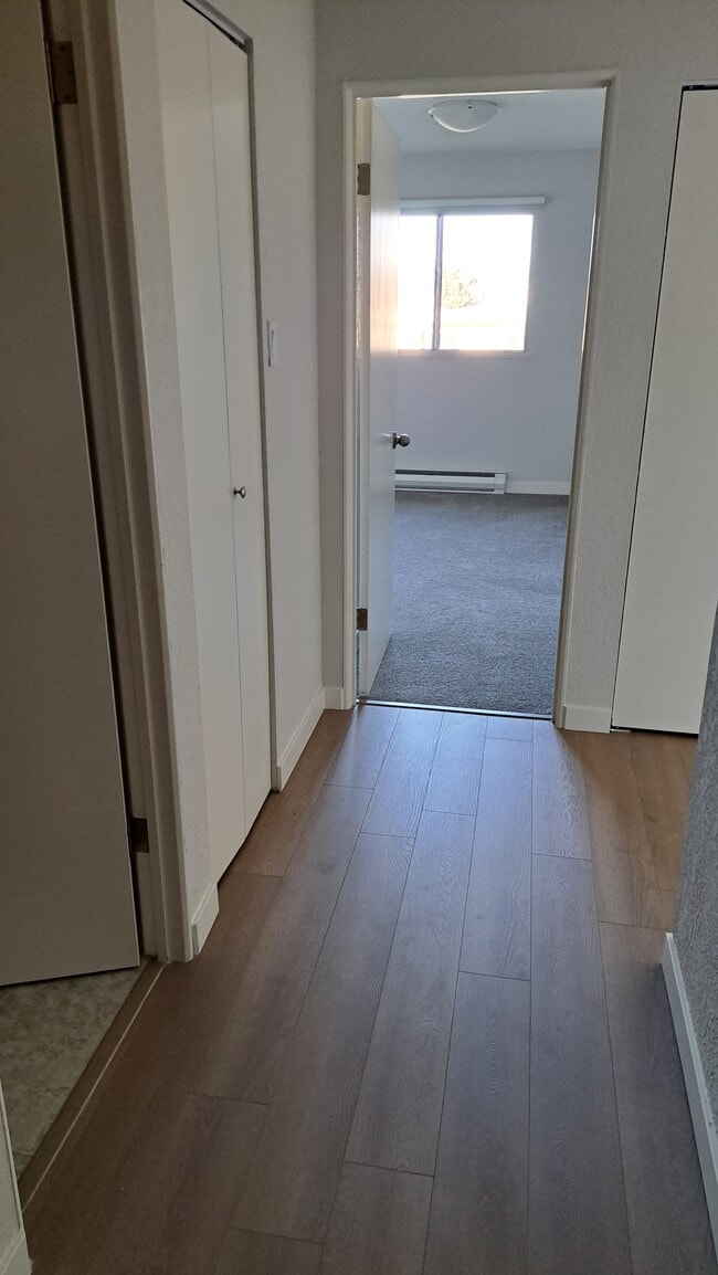 Photo - Aquarius Apartments