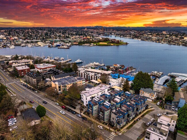 Photo - The Dex Apartments