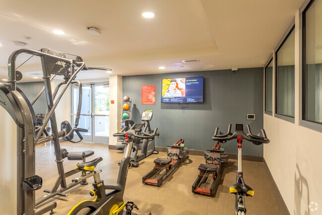 Gym - Strauss on Fifth