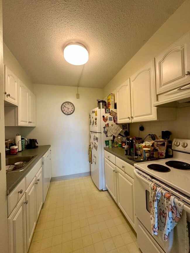 Photo - 41 Marion St Unidad 8A