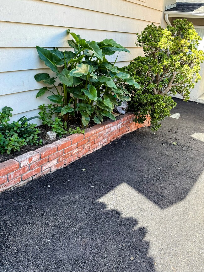 Photo - 376 Caprino Way Unit Home B