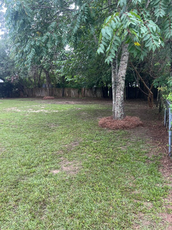Photo - 1805 Gilbert Dr