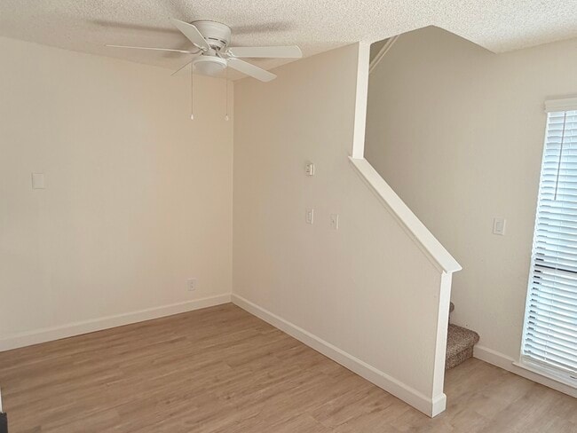 Photo - Le Tournesol