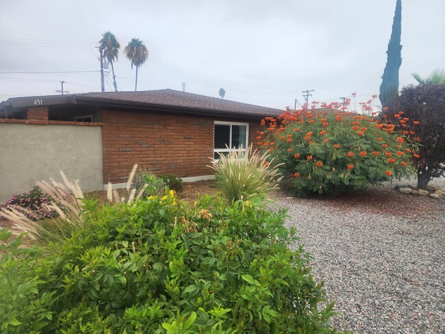 Front Yard