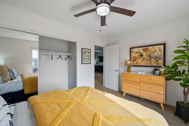 Photo - Alicia Plaza