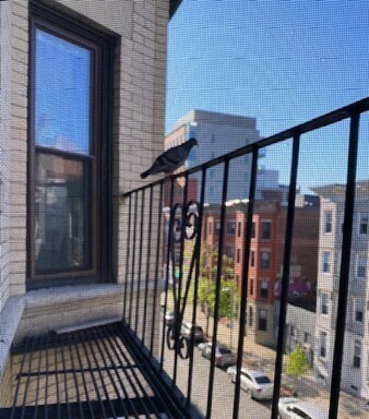 Photo - 65 Burbank St Unit 26