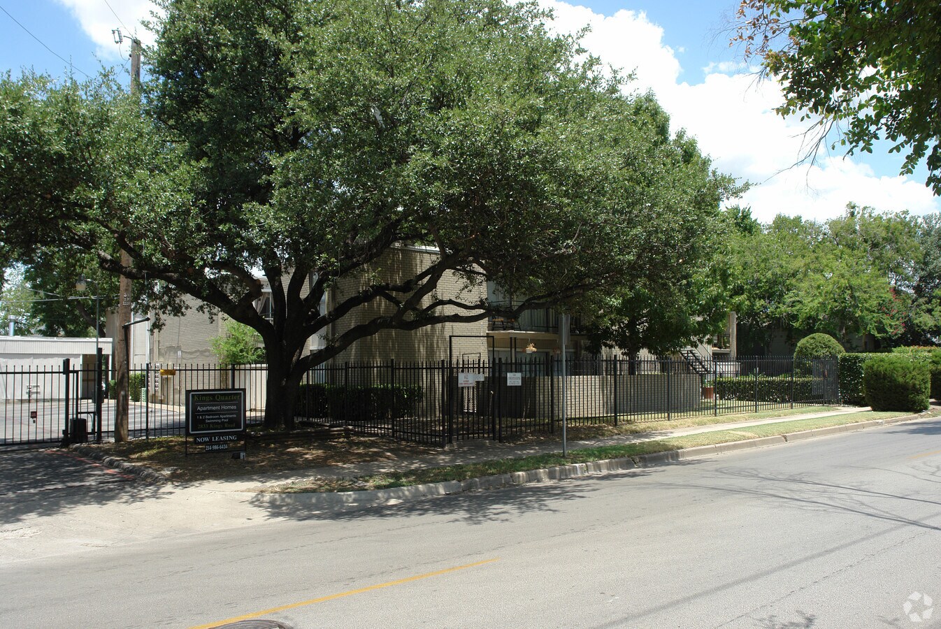 The Viceroy - The Viceroy