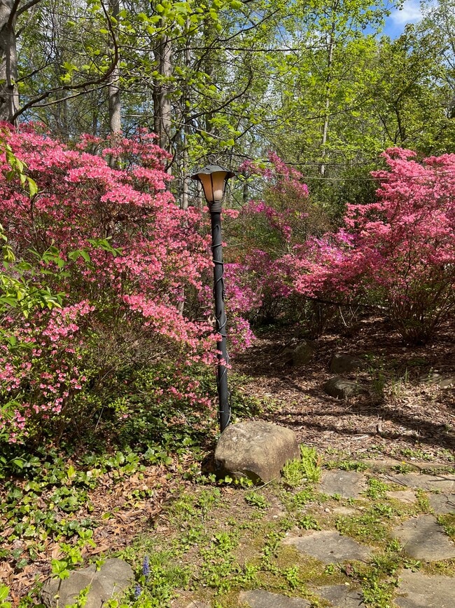 Photo - 6662 Van Winkle Dr Unit Studio