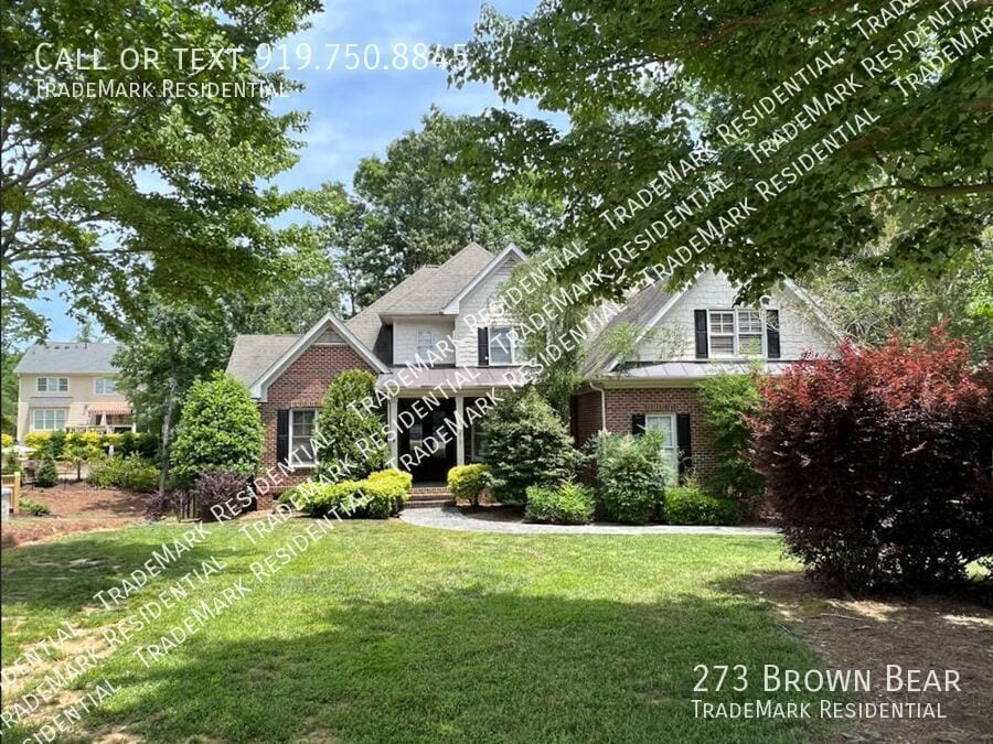 Photo - 273 Brown Bear