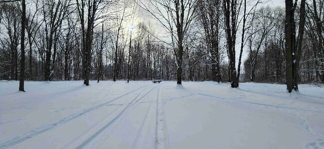 Photo - 9211 E Y Z Ave