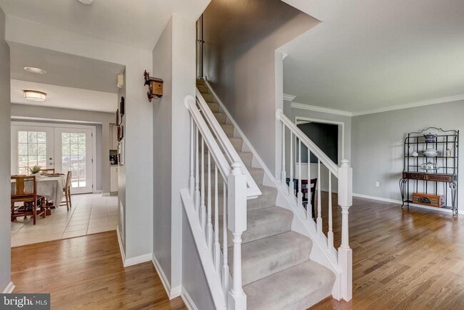 Photo - 583 Henderson Rd