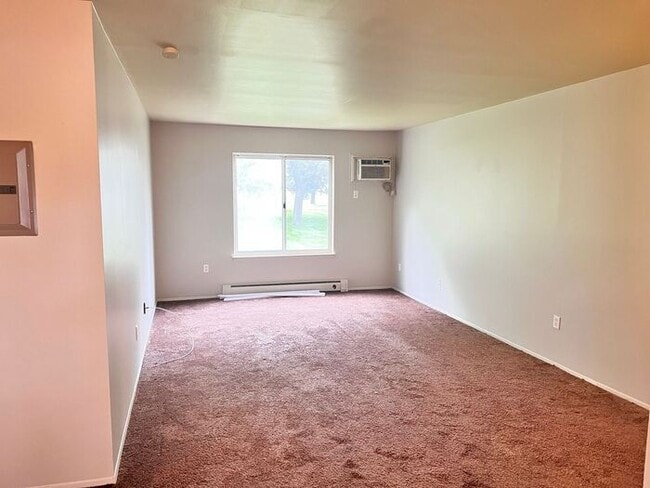 Beautifully Remodeled and Spacious - Heat and Water Included