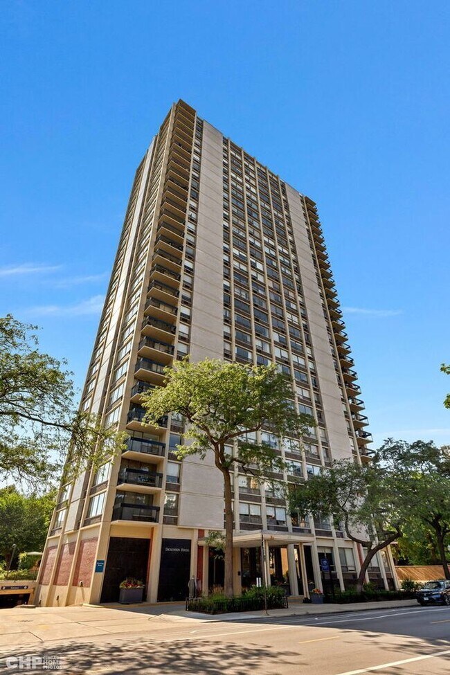 Photo - 1355 N Sandburg Terrace Unidad 1206D Rental