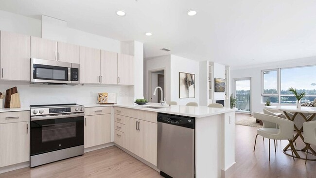Stainless-steel appliances and modern flat panel wood grain cabinets