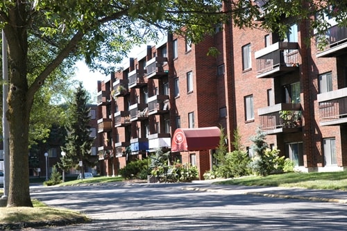 Primary Photo - The Maples Apartments