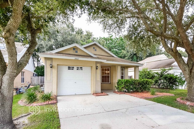 28611 Seashell Ct