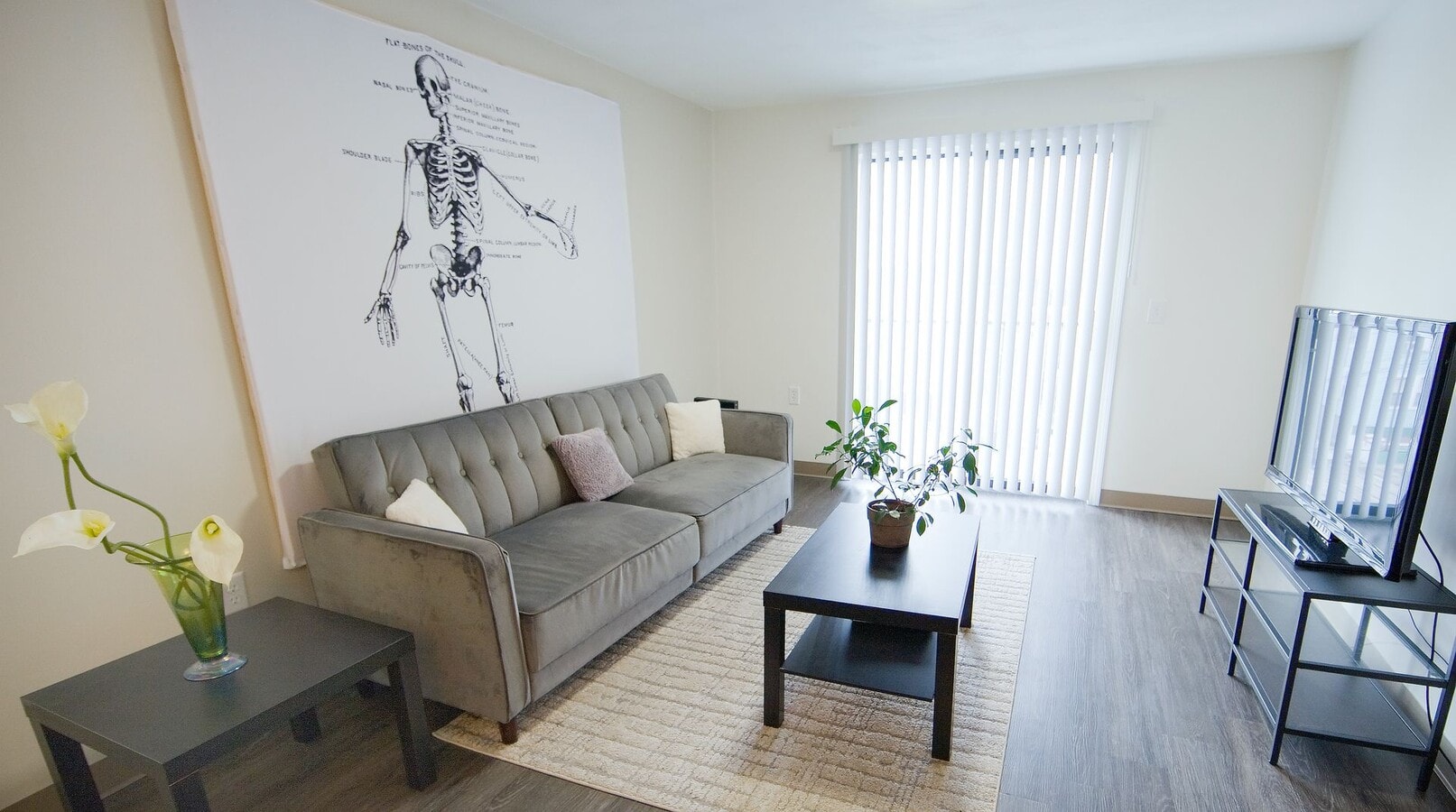 Modern 2 Bed in Mission Hill – Private Balcony + In-Unit Laundry – 9/1/26 - Modern 2 Bed in Mission Hill – Private Balcony + In-Unit Laundry – 9/1/26