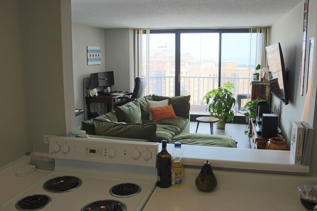 Photo - 3660 N Lake Shore Dr Unit 2106
