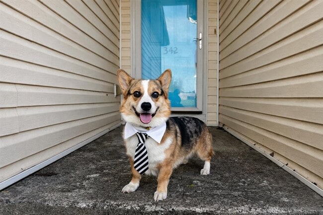 Photo - 342 Turkey Run Dr