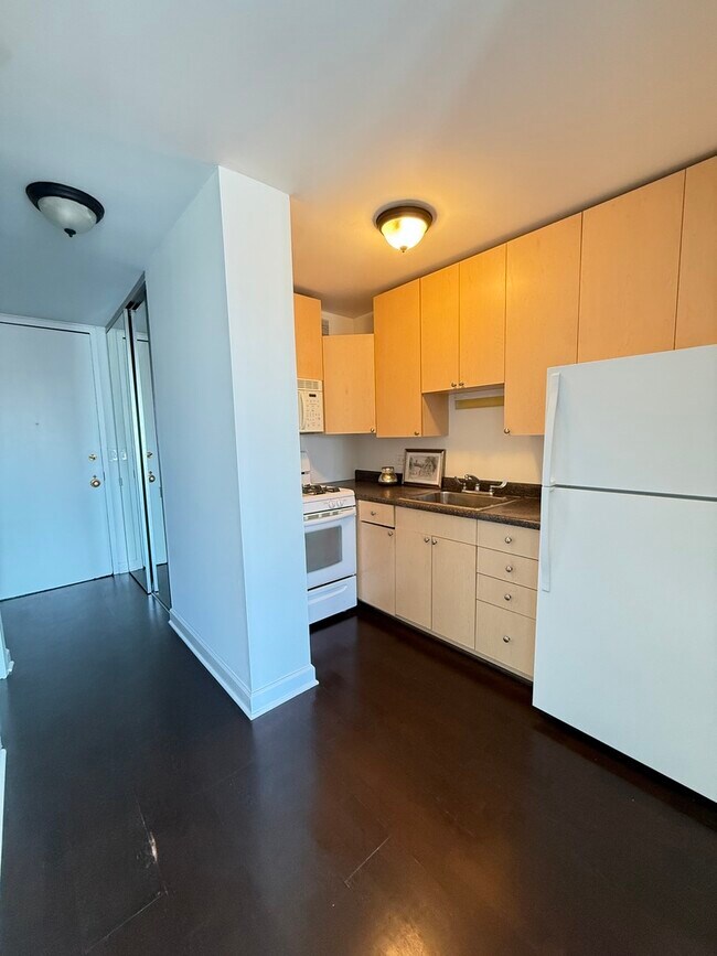 Photo - 1 E Scott St Unit 2102