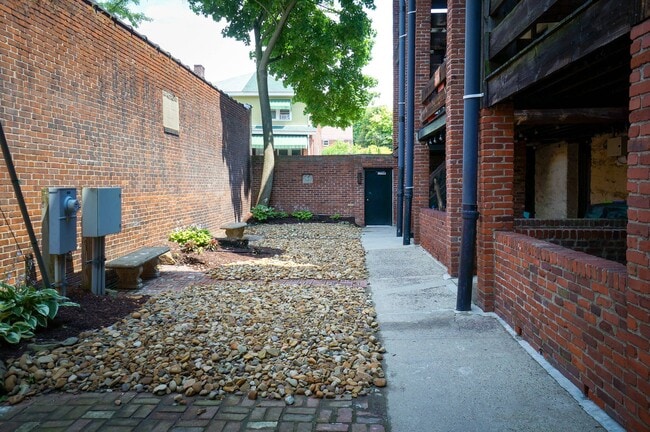 Back Lot
