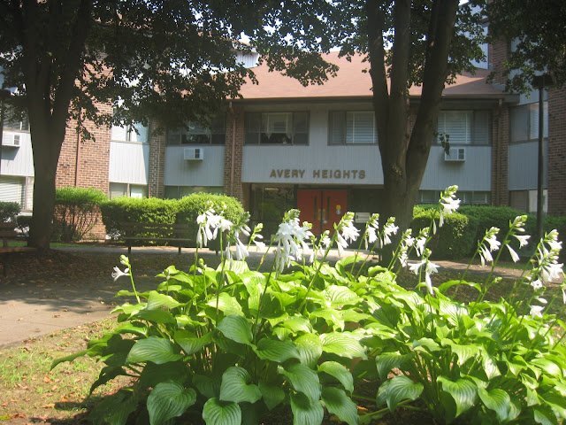 Photo - 300 Brandegee Ave Unidad #300