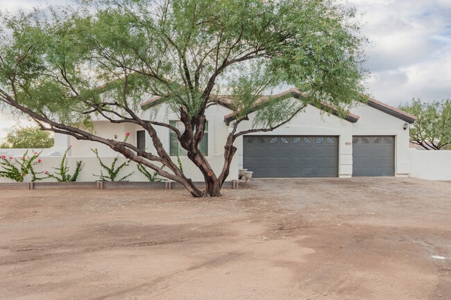 Photo - 10335 N Tall Cotton Dr