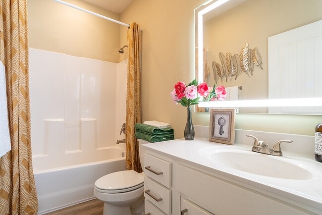 The-Collective-at-Clemson-Apartments-Near-Clemson-University-Baño-privado-Espejo-de-baño-LED - The Collective at Clemson