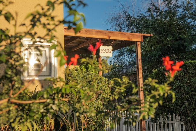 Lots of outdoor space - 3532 Helms Ave