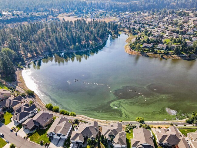Photo - Dream Home At Shelley Lake