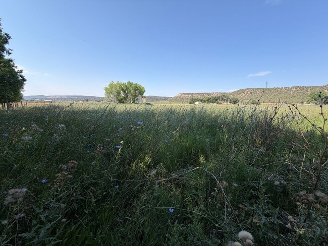 Photo - 277 Animas River Rd