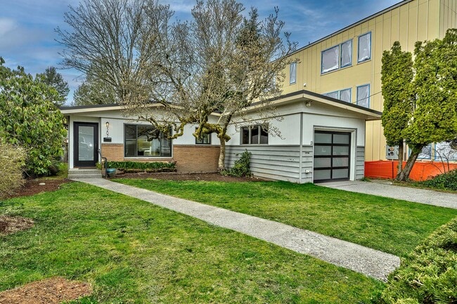 Photo - Maple Leaf Rambler