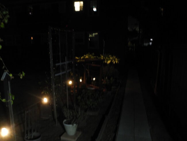 Night lights from garden - 1934 Henderson Ave Unit 1934 Henderson