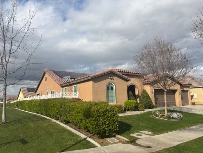 14802 Yellow Lupine Dr
