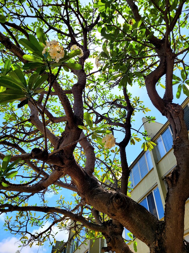 Photo - 111 Kahului Beach Rd Unit D406