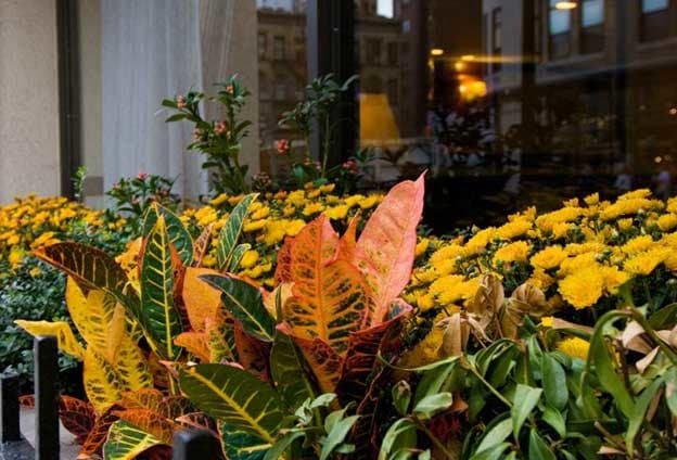 Photo - Courtney House