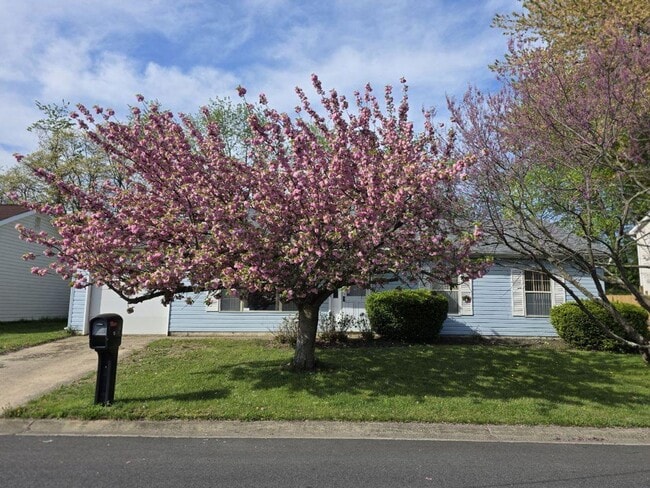 Photo - Ranch in Bear/Newark Area