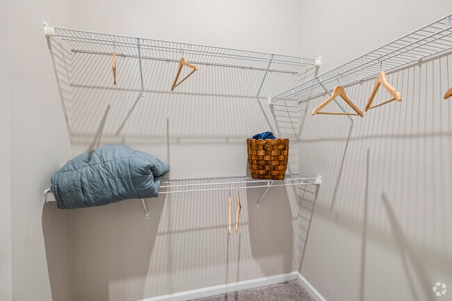 A6 1BR, 1BA - 674SF - Closet