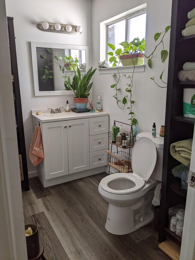 1313 F St Apartamentos Para alquiler en Davis, CA | ForRent.com