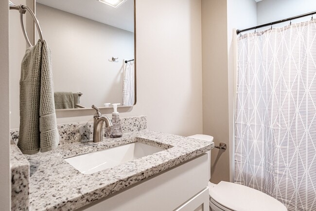 A bright, modern bathroom with a granite countertop vanity, brushed-nickel fixtures, and a contemporary shower.