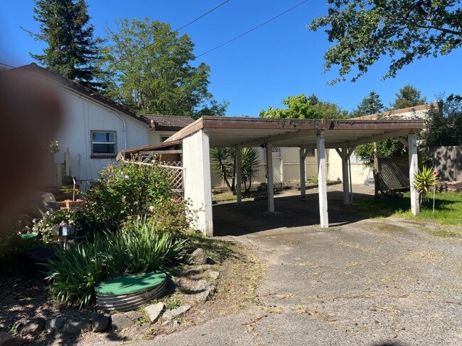 Photo - 20 Eucalyptus Rd