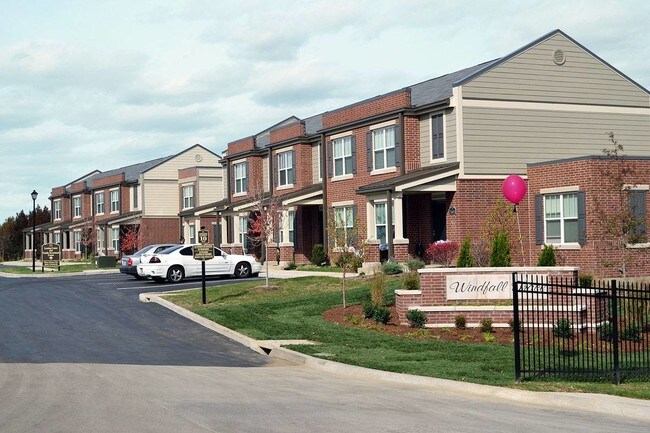 Photo - Windfall Trace