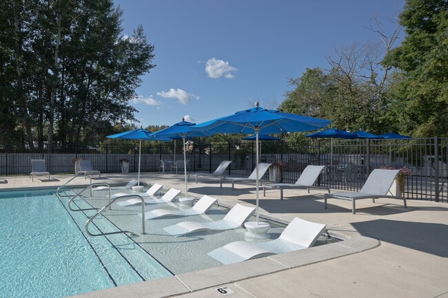 Pool - Sun Shelf Tanning Area